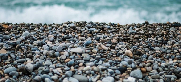Chuỗi lạnh hải sản Kiên Giang: giảm hao hụt Chuỗi lạnh hải sản Kiên Giang: giảm hao hụt