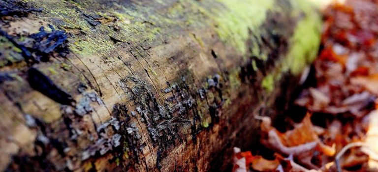 Quản lý tồn kho theo mùa du lịch ở Kiên Giang Quản lý tồn kho theo mùa du lịch ở Kiên Giang